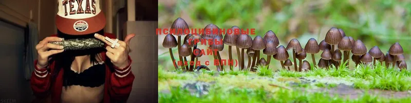 Галлюциногенные грибы Magic Shrooms  Городец 